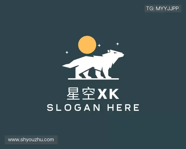 介绍星空xk
