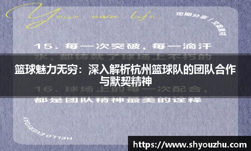 篮球魅力无穷：深入解析杭州篮球队的团队合作与默契精神
