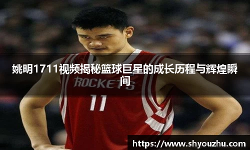 姚明1711视频揭秘篮球巨星的成长历程与辉煌瞬间
