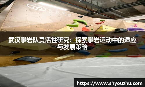 武汉攀岩队灵活性研究：探索攀岩运动中的适应与发展策略