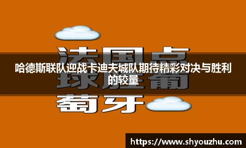 哈德斯联队迎战卡迪夫城队期待精彩对决与胜利的较量